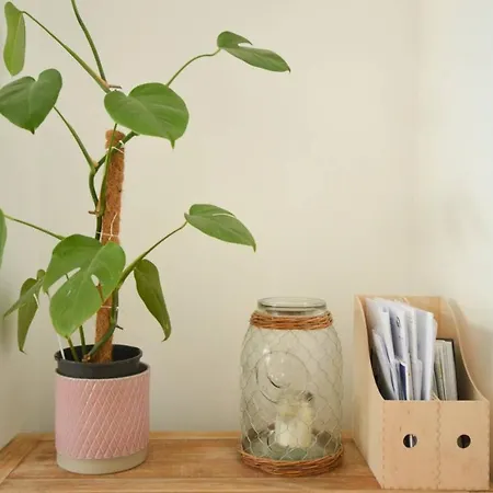 Modern And Bright 2 Bedroom House With A Garden 布里斯托
